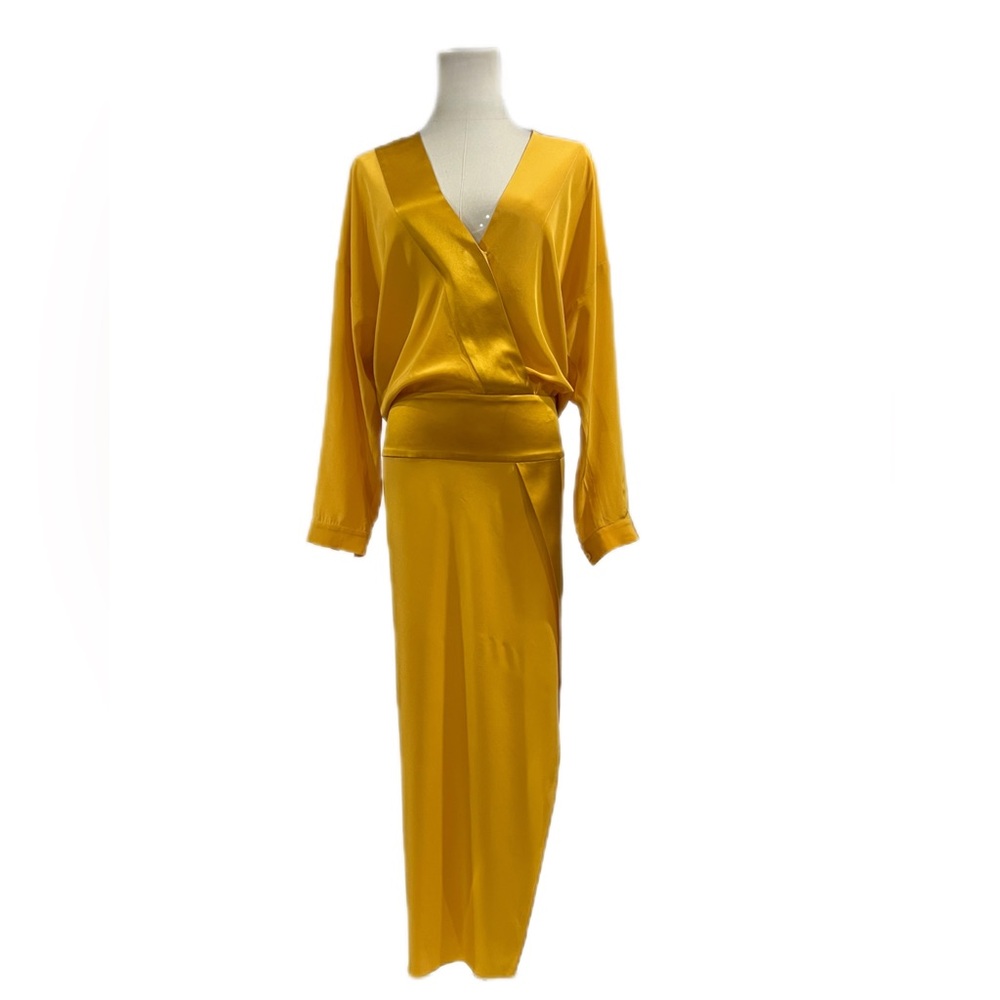 Mason Plunge Neckline Long Dress